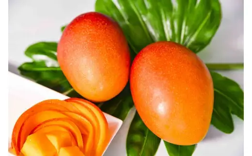 【先行予約】杉田農園 訳あり 西都市産 ご家庭用完熟マンゴー（２玉～3玉） 生産者直送 宮崎マンゴー　2026年発送＜38-1a＞