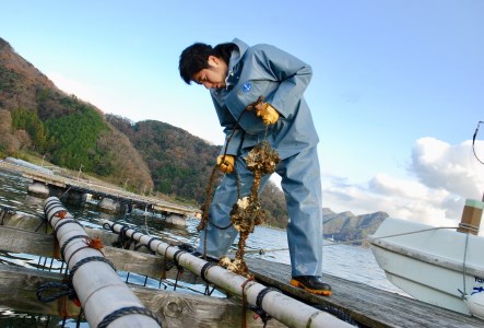 殻付き真牡蠣 4kg 30〜45個 朝どれ直送 牡蠣 かき 【配送不可地域：北海道、沖縄、離島】