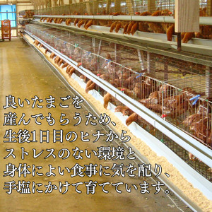 産地直送 卵 80個 セレブの気持ち たまご | タマゴ 玉子 116M