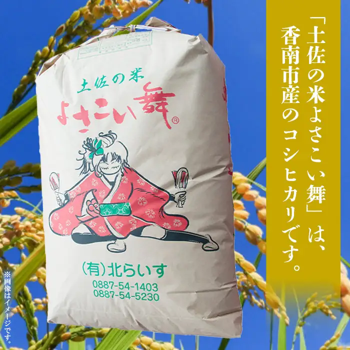 コシヒカリ 5kg 白米 コシヒカリ 高知県 kr-0071