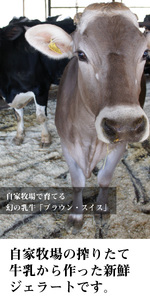 牧場 ジェラート 8種詰合せ[ アイス 低脂肪 濃厚 食べ比べ 牧場直営 ] お菓子 冷凍 