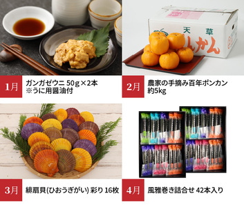 S999-T04_【定期便12回】天草市堪能12ヵ月定期便