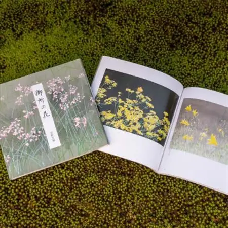 【数量限定】画家、安野光雅が描いた『御所の花』と『中国路』の2冊セット【1227699】