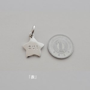 星型迷子札【名入れ無料】:M026