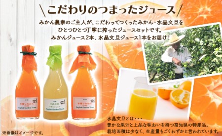 人気ローズガーデンの手搾りみかん・水晶文旦ジュース - 送料無料 濃縮還元 飲み物 フルーツ 果物好き のし プレゼント ギフト ジュース大好き お歳暮 御歳暮 贈答用 贈り物 クリスマス 年末年始 高知県 香南市【常温】eh-0022