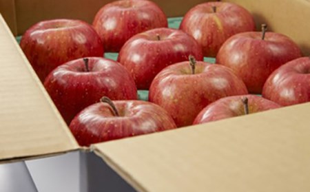 《先行予約 2026年度発送》サンふじ 3kg 8~14玉 りんご リンゴ 林檎 デザート フルーツ 果物 くだもの 果実 食品 山形県 FSY-0516