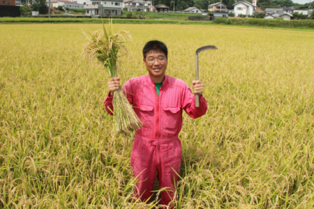 おいしいコシヒカリ！土佐の米 よさこい舞 20kg【こしひかり 米 コシヒカリ 米 土佐の米 精米 こしひかり 米 こしひかり】 kr-0044