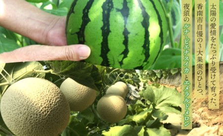 フルーツセット 計2玉 フルーツ エメラルドメロン ルナ・ピエナスイカ yu-0071