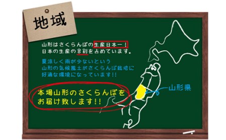 《先行予約》旬大粒♪山形産さくらんぼ佐藤錦☆秀2L・Lサイズ混合☆500gバラ詰【6月上旬～6月下旬発送】 FSY-0422