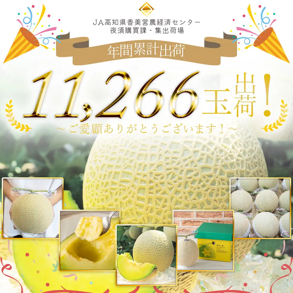 エメラルドメロン 発送開始 ２玉 | ブランドメロン JA夜須  yu-0049