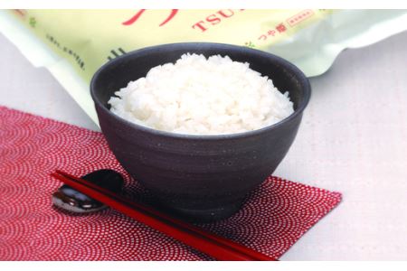 令和7年度産米 山形県産 つや姫5kg つや姫 米 お米 ブランド米 銘柄米 備蓄 日本米 コメ ごはん ご飯 食品 山形県 F2Y-4539