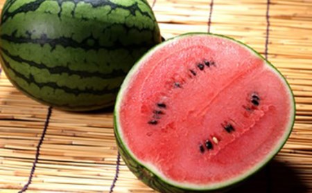 《2026年発送先行予約》やまがた特産フルーツ定期便（全3回） マスカット ぶどう ブドウ 葡萄 デザート フルーツ 果物 くだもの 果実 食品 山形県 FSY-0098