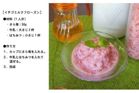 園村苺園 熊本県宇土産 完熟冷凍いちご「さら苺」1kg（500g×2パック） _U74-0041