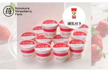 園村苺園 宇土産 完熟冷凍いちご「ぷち苺」50ｇ×12カップ 練乳付き _U74-0030