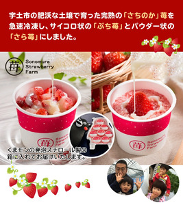 園村苺園完熟冷凍いちご！「ぷち苺」と「さら苺」各4カップ 練乳付き In くまモンの箱入り _U74-0037