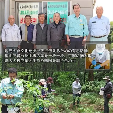 浅間高原 山椒 味噌 200g 自然発酵の手作り高級信州みそ 長野の健康食品調味料_惣菜・加工品   _【配送不可地域：離島】【1131190】