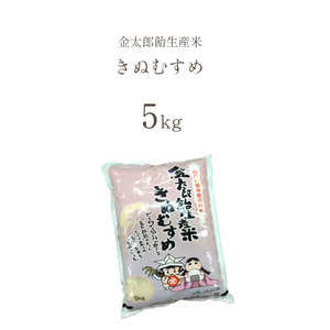 令和7年産 米 金太郎飴生産米 きぬむすめ 山口美祢産 5kg