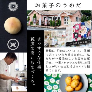 佐伯銘菓 4種詰め合わせ (合計24個・4種×6個) 特産品 ブラウニー ミルクまんじゅう 餅菓子 餡 乳菓 スイーツ お菓子 おやつ 焼き菓子 洋菓子 和菓子 詰め合わせ  常温 【AG117】【お菓子のウメダ】