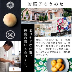 おおいたマドレーヌ (合計15個・3種) マドレーヌ 餡 スイーツ お菓子 おやつ 焼き菓子 洋菓子 詰め合わせ お取り寄せ 個装 常温 大分県 佐伯市【AG121】【お菓子のウメダ】