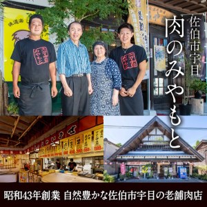 老舗店の味付けから揚げ (計2.5kg・500g×5袋) から揚げ からあげ 味付き 簡単 冷凍 お取り寄せ 惣菜 おかず おつまみ 揚げるだけ 小分け 大分県 佐伯市【HD140】【さいき本舗 城下堂】