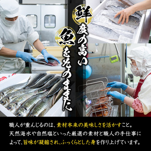  ごちそう干物5種セット (11尾・5種) 簡単 調理 干物 たい タイ 鯛 あじ アジ かます カマス さば サバ 丸干し 開き みりん干し 魚 海鮮 冷凍 詰め合わせ セット 大分県 佐伯市【AQ76】【(株)やまろ渡邉】