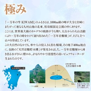 ミネラルウォーター 極み (計12L・500ml×24本) プレミアムウォーター 国産 お水 ミネラル 軟水 天然 料理 健康 維持 ピュアウォーター 大分県 佐伯市 防災 常温 常温保存【HD254】【さいき本舗 城下堂】