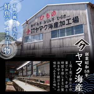職人おまかせ干物セット (合計10品以上) 干物 あじ 鯵 さば 鯖 丸干し みりん干し 開き 魚 海鮮 冷凍 詰め合わせ セット 大分県 佐伯市【CL63】【(有)ヤマク海産】