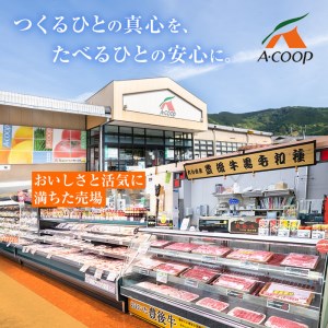  おおいた 豊後牛 ロース しゃぶしゃぶ用 (1kg) 国産 豊後牛 牛肉 しゃぶしゃぶ 焼肉 惣菜 おかず 冷凍 大分県 佐伯市【CQ11】【 (株)Aコープ九州鶴見店】