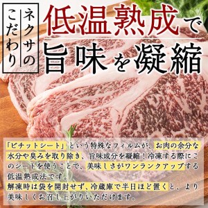 おおいた和牛 リブロースステーキ (計500g・リブロースステーキ約250ｇ×2枚+ステーキソース20g×2袋) 国産 牛肉 肉 霜降り 低温熟成 ステーキ A4 和牛 ブランド牛 BBQ 冷凍 大分県 佐伯市【DH69】【(株)ネクサ】
