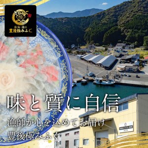 とらふぐ ぶつ切り ちり鍋用 (計430g以上・3-4人前) 冷凍 ふぐ ふぐ鍋 てっちり鍋 お取り寄せ 鮮魚 養殖 国産 ポン酢 大分県 佐伯市【DK15】【エイコー水産】