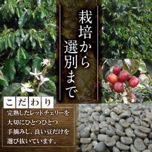 深煎マウンテンコーヒー (粉・200g×2P) 珈琲 コーヒー 飲料 ドリンク 大分県 佐伯市 【EC05】【天然素材 (株)】
