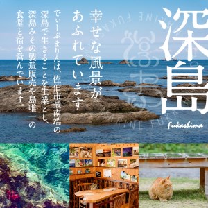 深島みそ (計約2kg・680g×3個) 味噌 みそ 味噌汁 麹 調味料 安部さん 手作り 【EK01】【でぃーぷまりん】