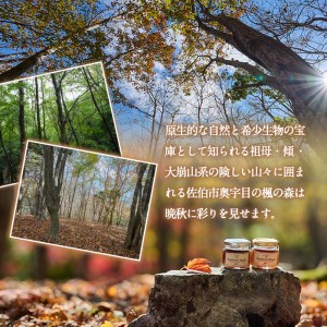 メープルシロップ サザンメイプル Southern Maple (70g×1個) 国産 大分県産 シロップ カエデ 樹液 調味料 大分県 佐伯市【EZ01】【maplexplorers】