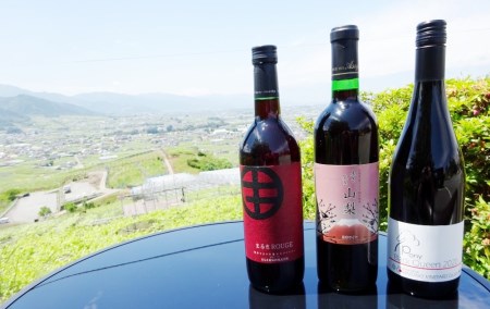 ワイン 自宅で気軽に日本ワイン赤白2本セット（MG）B-690