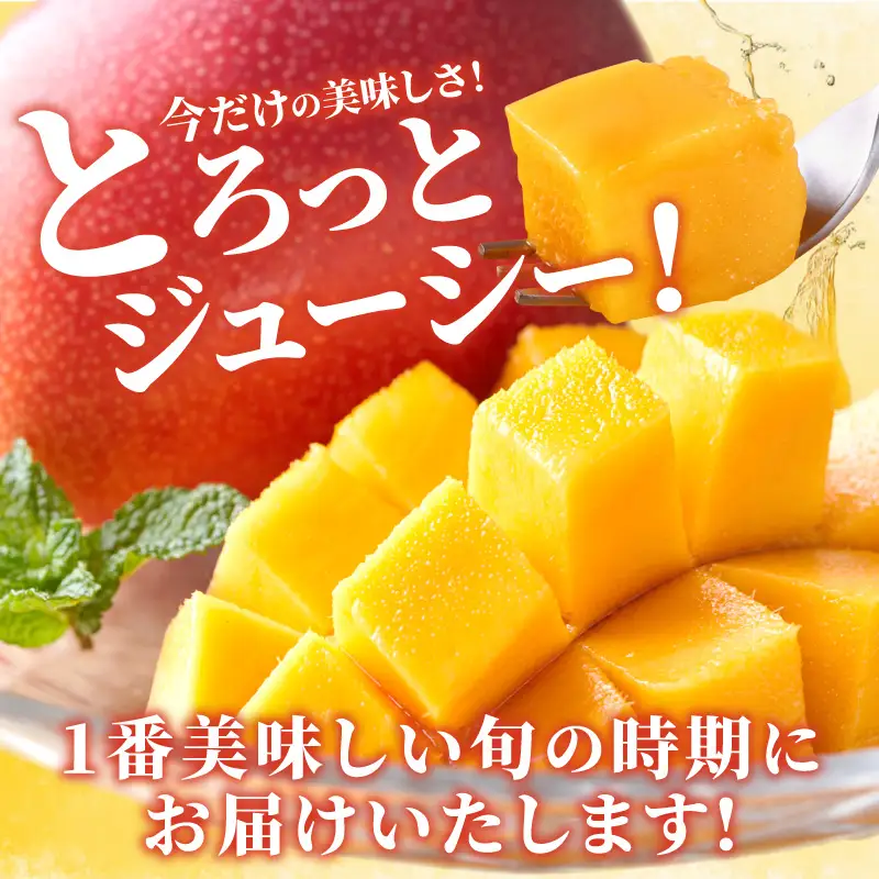 マンゴー 完熟 マンゴー 期間限定[宮崎 A3L 2玉 約1kg]