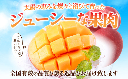 《先行予約》完熟マンゴ－ 2玉 国産 マンゴー 2玉 宮崎県産【数量・期間限定】 2026年発送