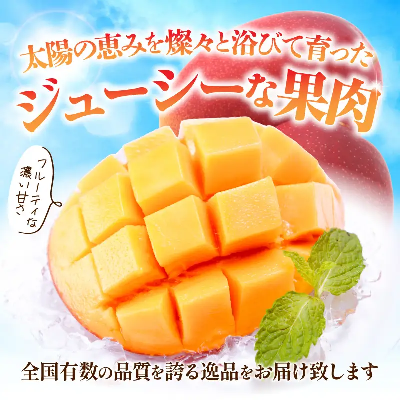 マンゴー 完熟 マンゴー[宮崎 3玉 1玉250g以上]