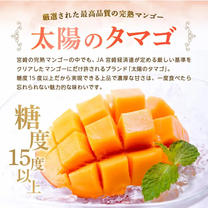 太陽のタマゴ マンゴー 太陽のタマゴ[宮崎 1玉 約350g以上]