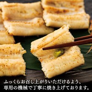 穴子の白焼き 5本入約300g 穴子