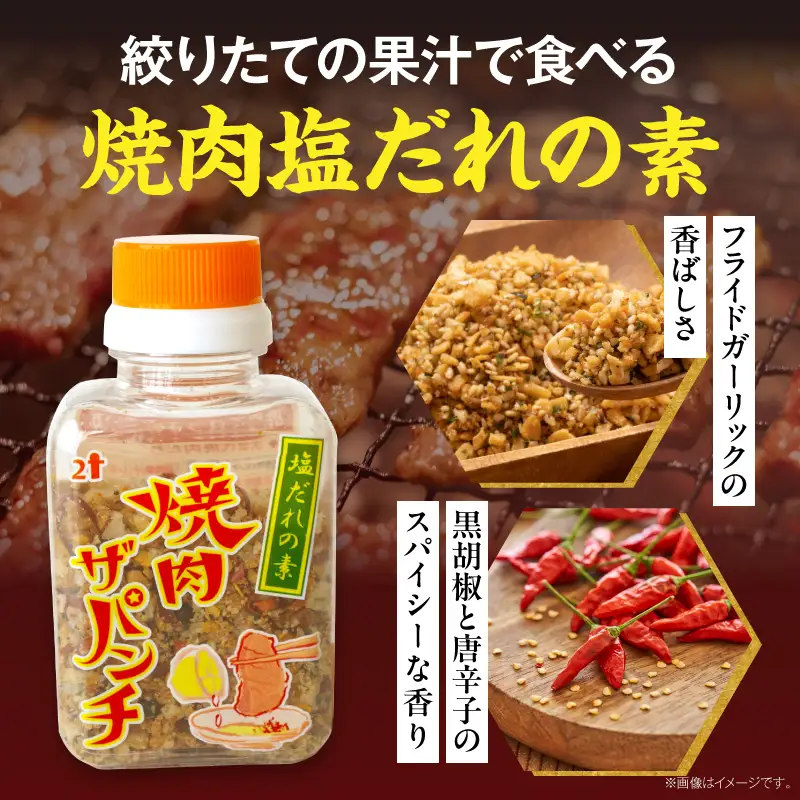 調味料 塩だれ 調味料 焼肉ザパンチ 1個