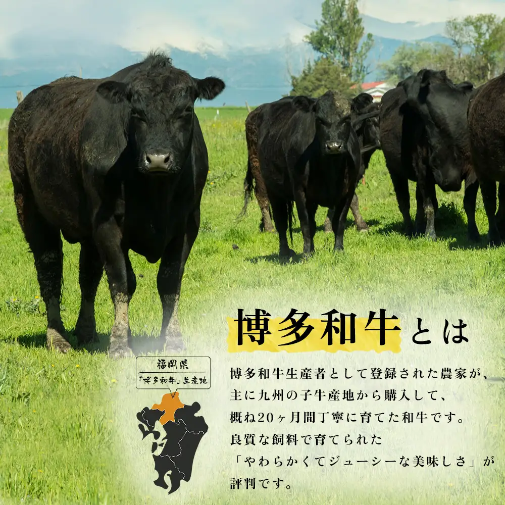 【福岡県産】博多和牛 切り落とし 1.6kg (400g×4P) 送料無料 肉 牛肉 冷凍 切り落とし 小分け カレー すき焼き 牛丼 生姜焼き 肉じゃが 和牛 国産 2L6