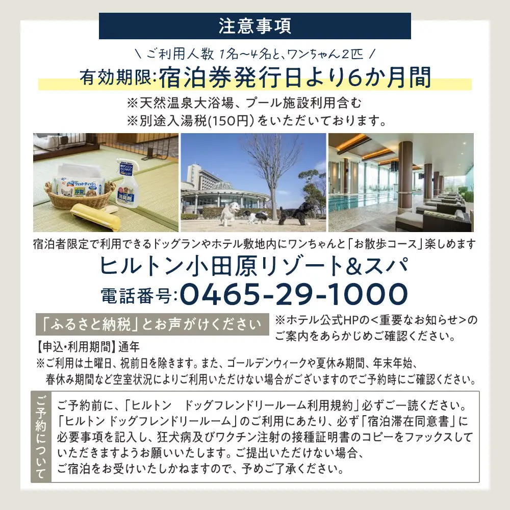 ワンちゃんと一緒にステイヒルトンドッグフレンドリールーム素泊まり（平日）【オーシャンビュー フィットネス 天然温泉大浴場 バーデゾーン 朝食ビュッフェ 都心から１時間のリゾート ヒルトン 神奈川県 小田原市 ヒルトン 】