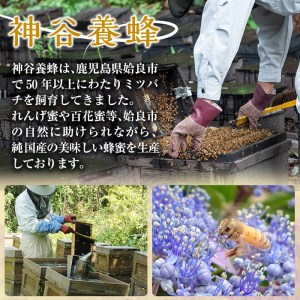 a686 国産！純粋はちみつ(600g)【神谷養蜂】