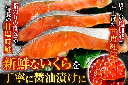 甘塩紅鮭5切×10P、甘塩時鮭5切×10P、いくら醤油漬け100g×5Ｐセット E-70002