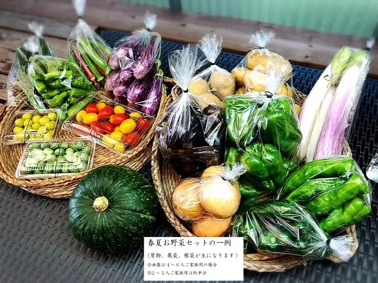 西洋野菜と季節の鹿児島野菜セット（4～6人ご家族用）