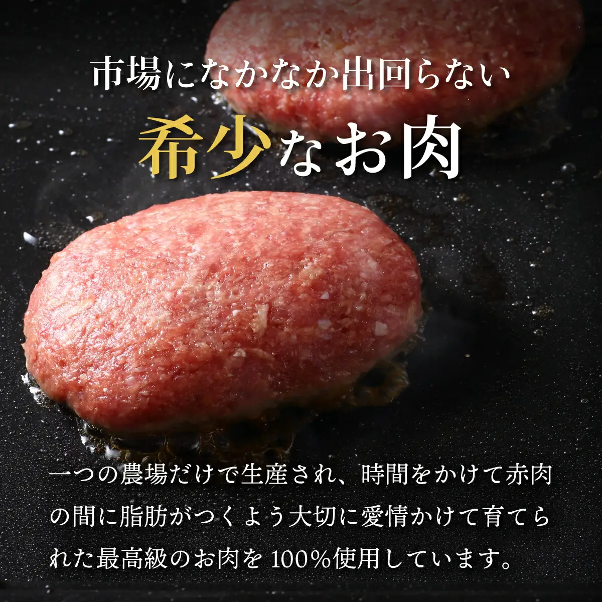 肉のあさひ 登別牛100％使用ハンバーグ 120g×5個[全4回お届け]