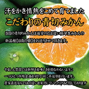 【2026年秋頃発送予約分】みかん 青切りみかん 約10kg【nuk108F】