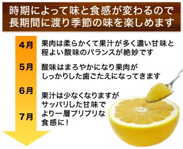 訳あり 河内晩柑 愛南ゴールド 5kg 【河内晩柑】