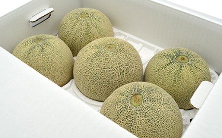 《先行予約 2026年度発送》 山形県産庄内メロン5kg【青肉メロン】4L～2Lサイズ 青肉メロン メロン 青肉 デザート フルーツ 果物 くだもの 果実 食品 山形県 FSY-0398