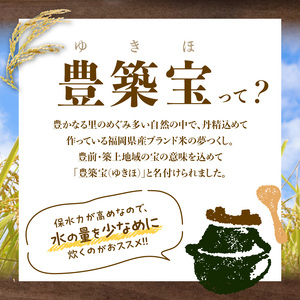 福岡県産ブランド米　夢つくし「豊築宝(ゆきほ)」5㎏_CA0101